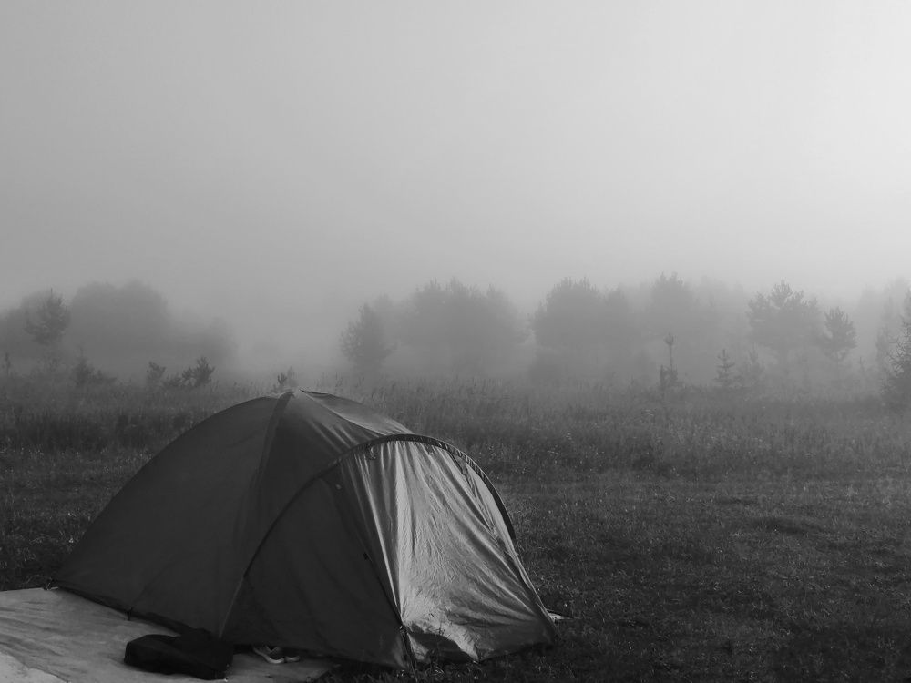 Photograph by Елена Сабирова