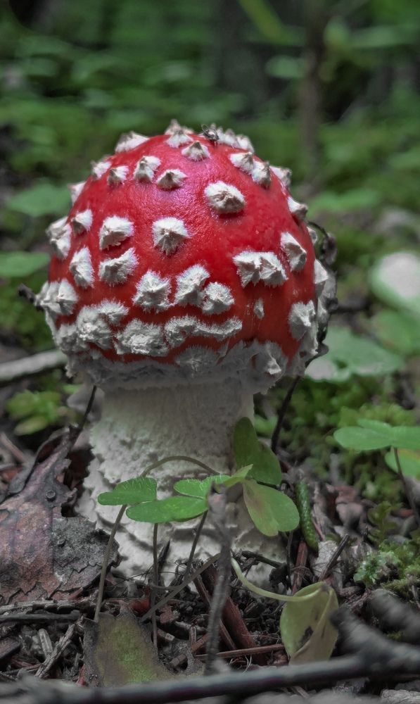 Photograph by Ольга Тимофеева