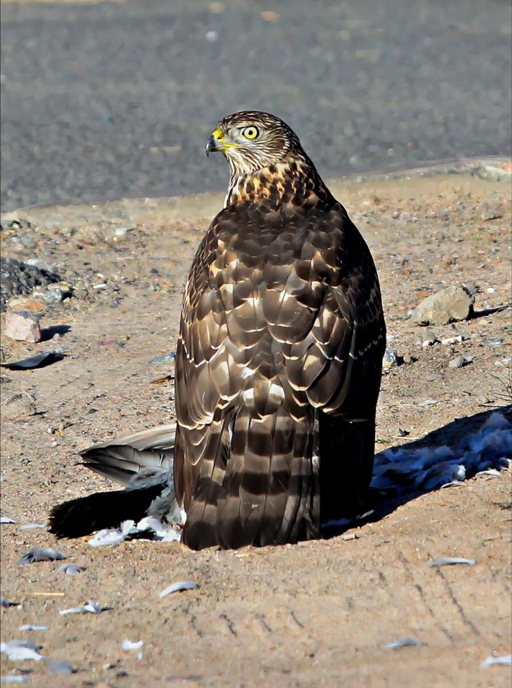 Photograph by Татьяна Слесарева