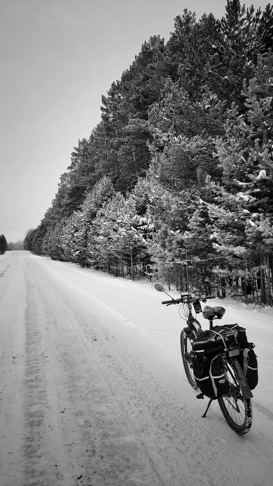 Photograph by Игорь Тюменцев