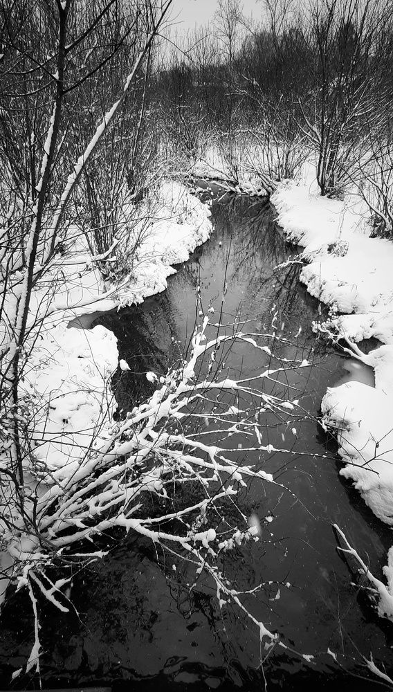 Photograph by Игорь Тюменцев