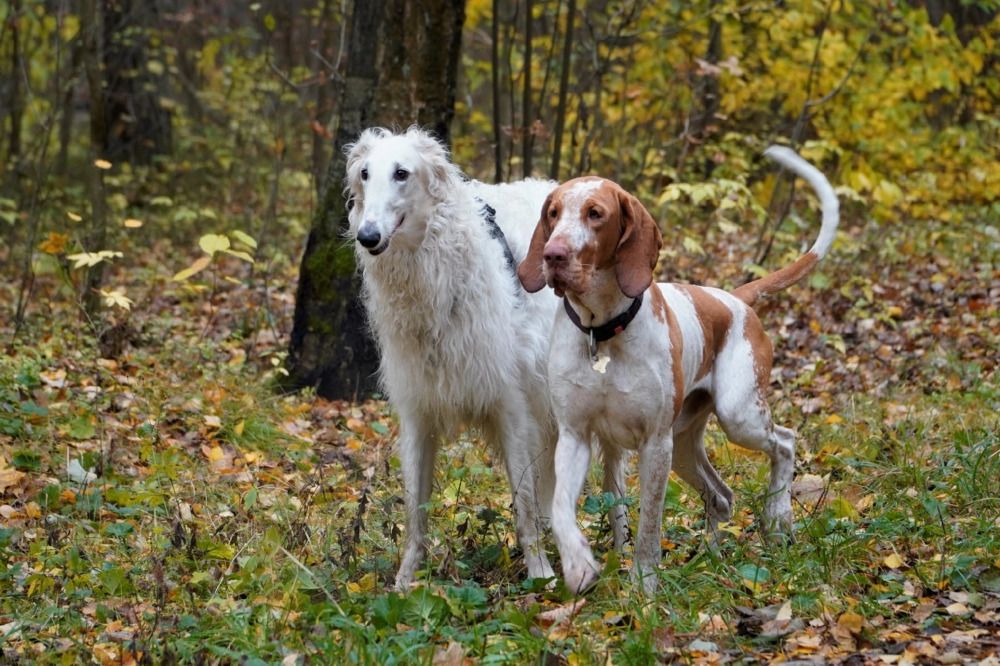 Photograph by Марина Безенкина