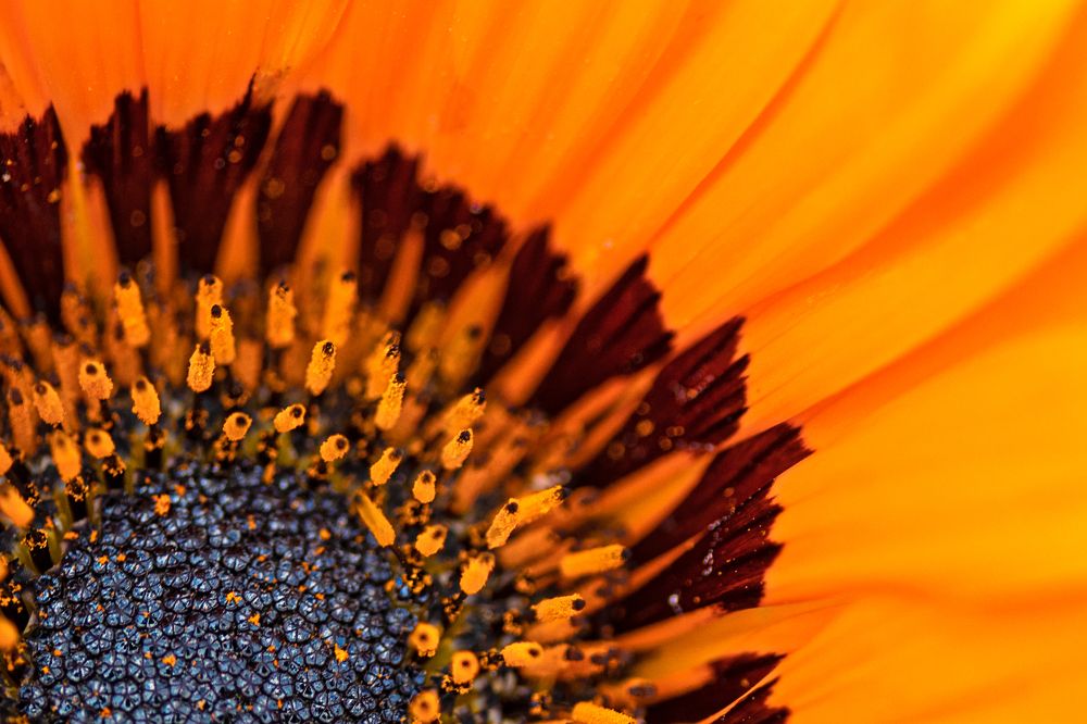 Photograph by Andrey Sensetic