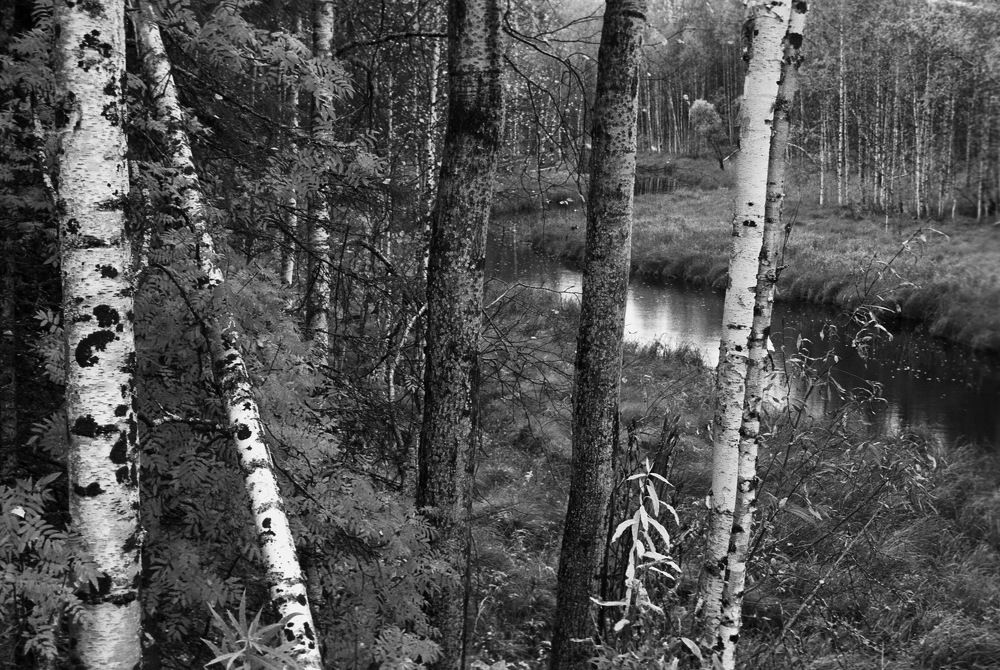 Photograph by Анатолий Протасов