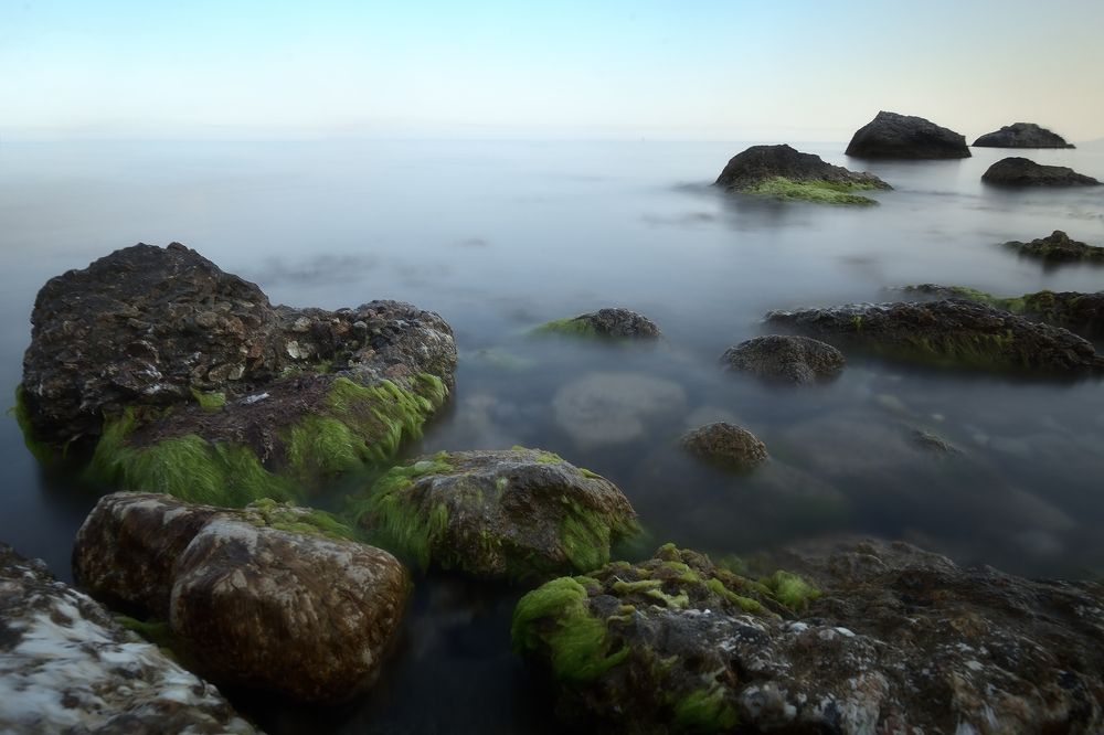 Photograph by Алексей Никонов