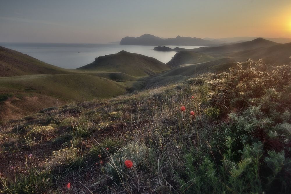 Photograph by Алексей Никонов