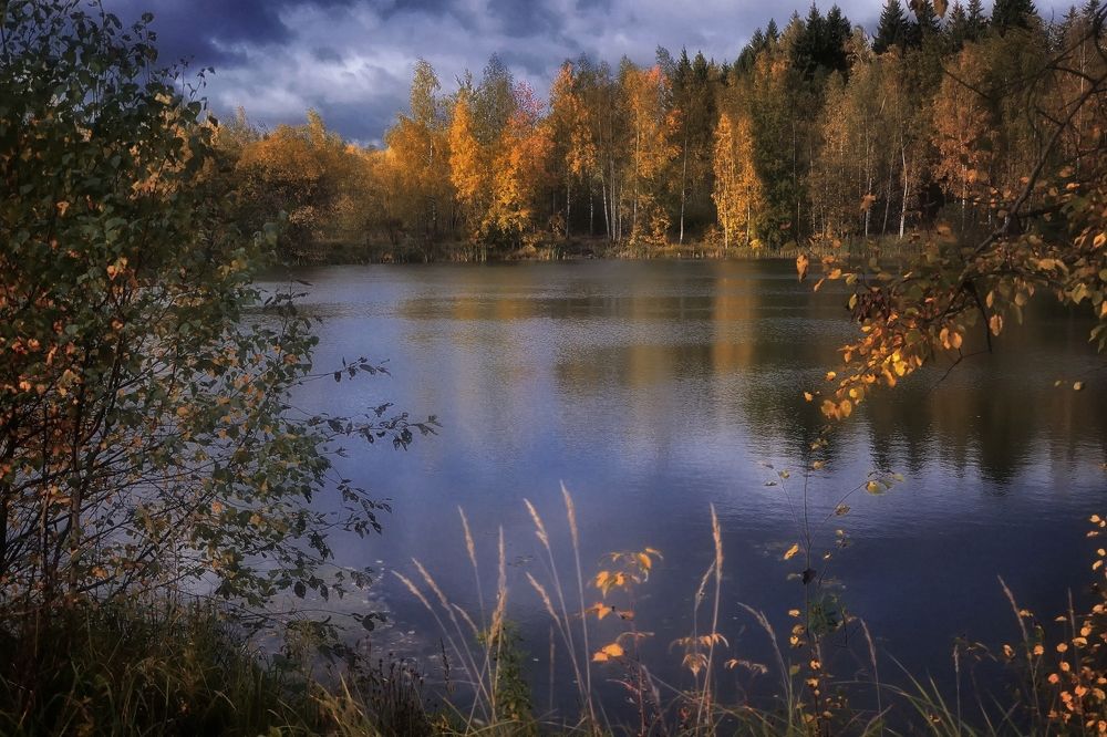 Photograph by Алексей Никонов