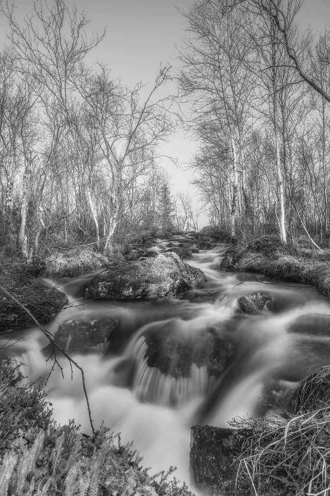 Photograph by Ворошилов Александр