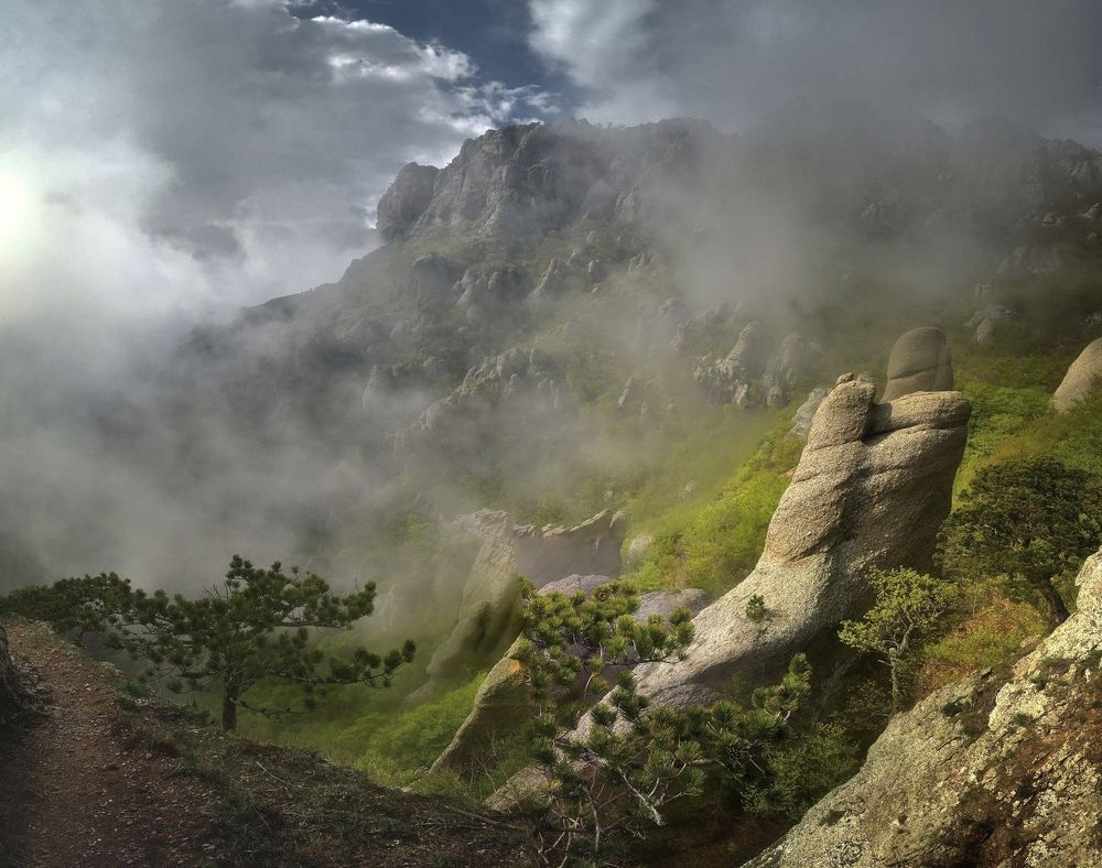 Photograph by Алексей Никонов