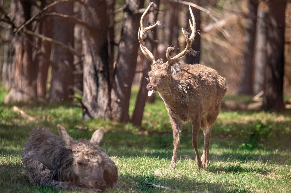 Photograph by Илья Сафаров