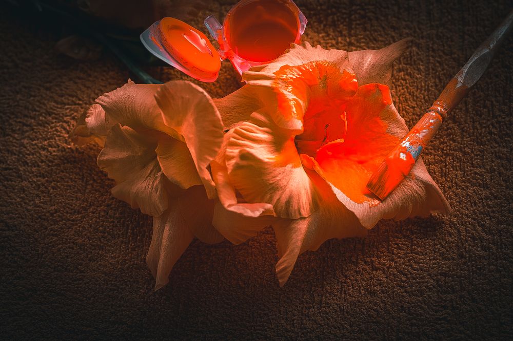 Photograph by Виктория Янушанис