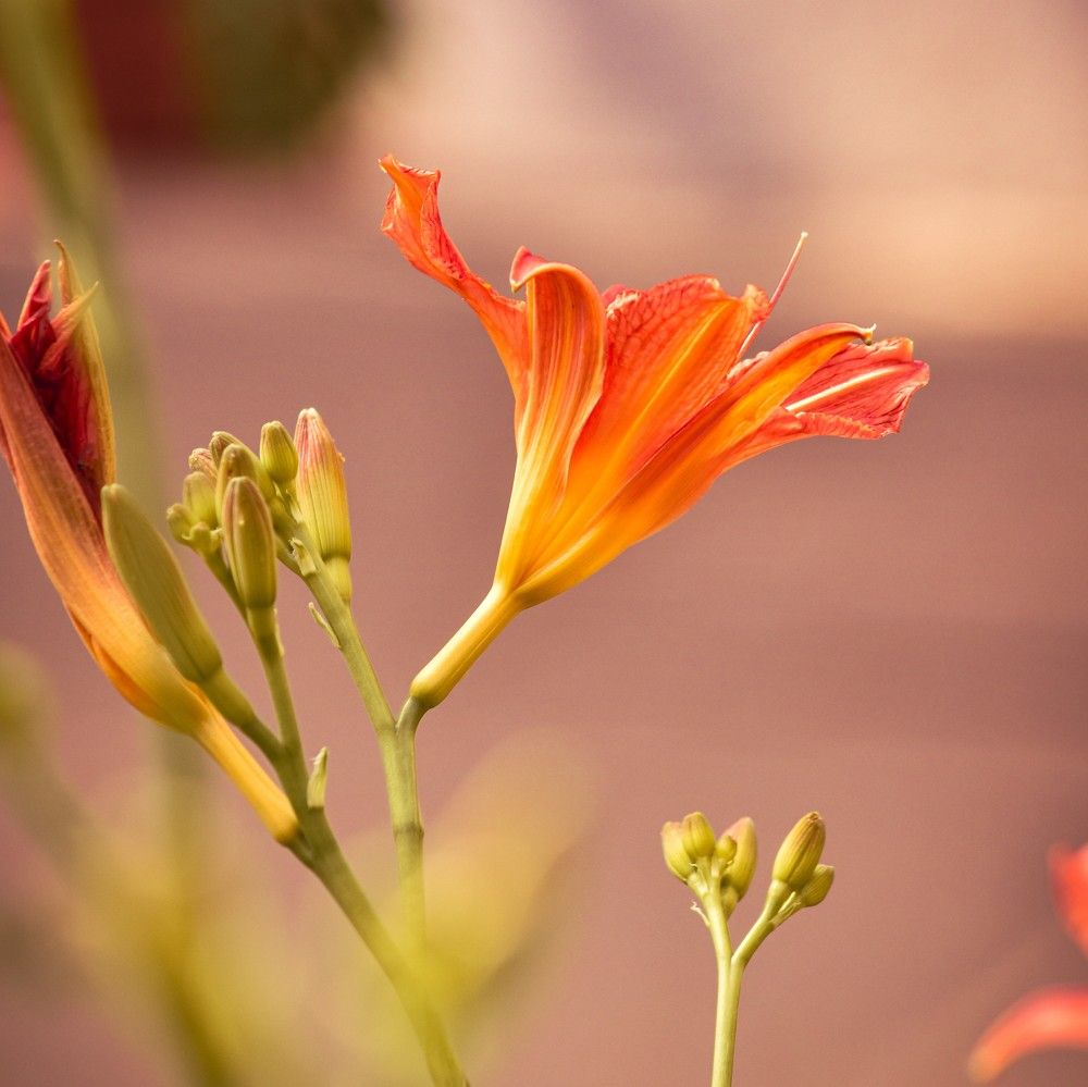 Photograph by Ксения Шилина