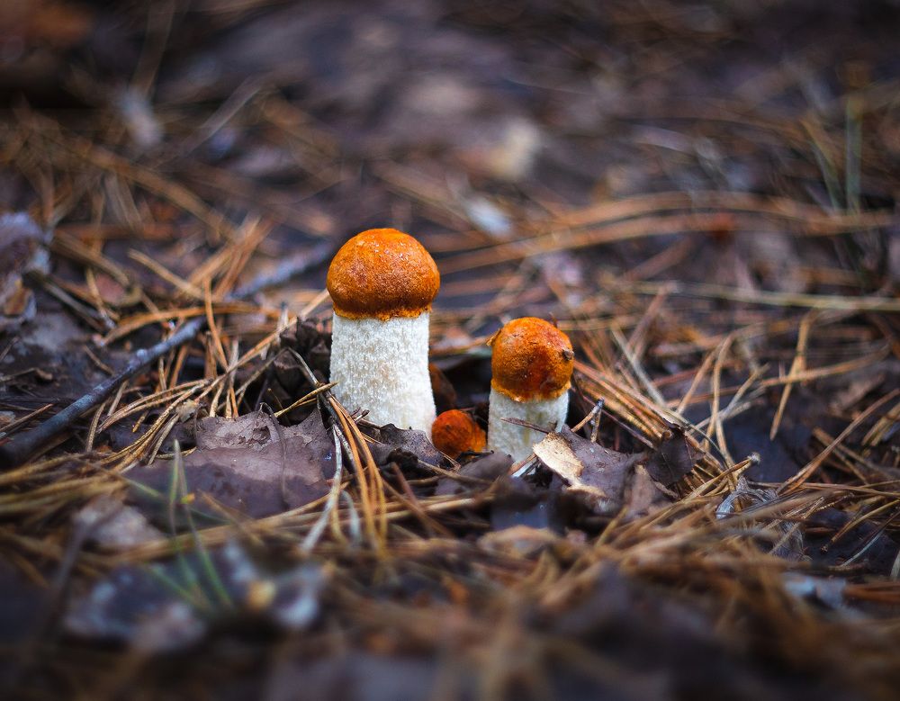 Photograph by Ткачёв Владимир