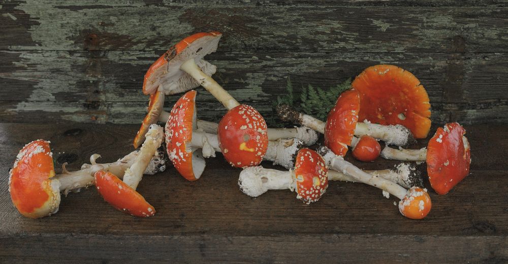 Photograph by Taтьяна Войлокова