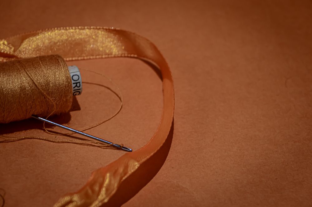 Photograph by Romina Moniri