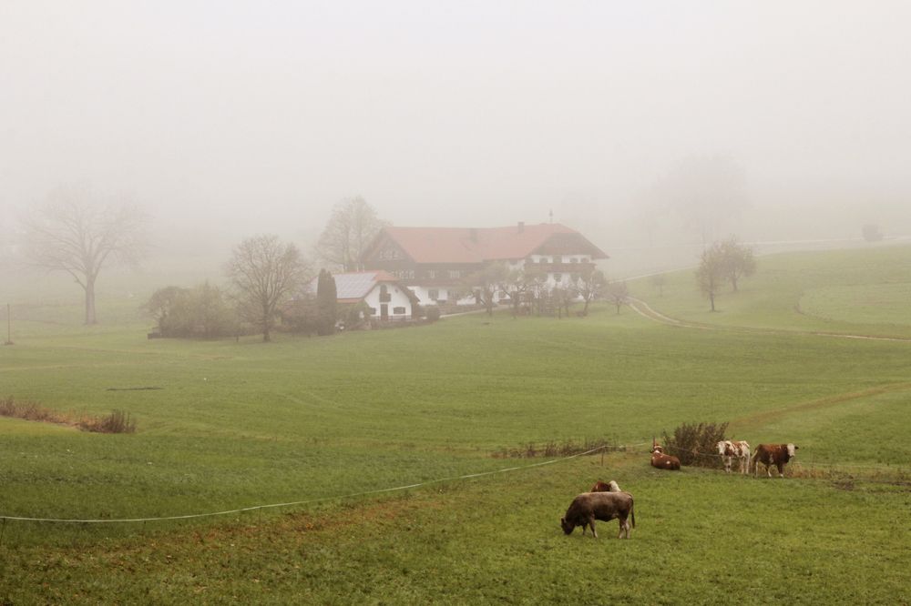 Photograph by Наталья Ростовская