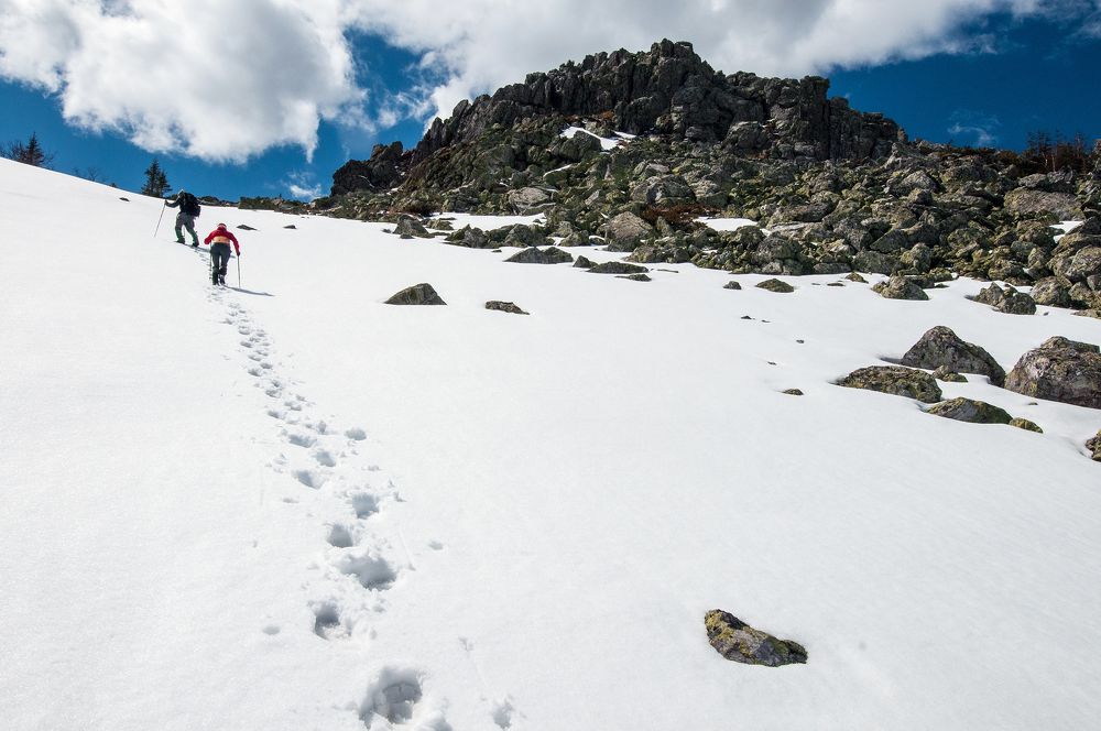 Фотография автора Сергей Сынтин