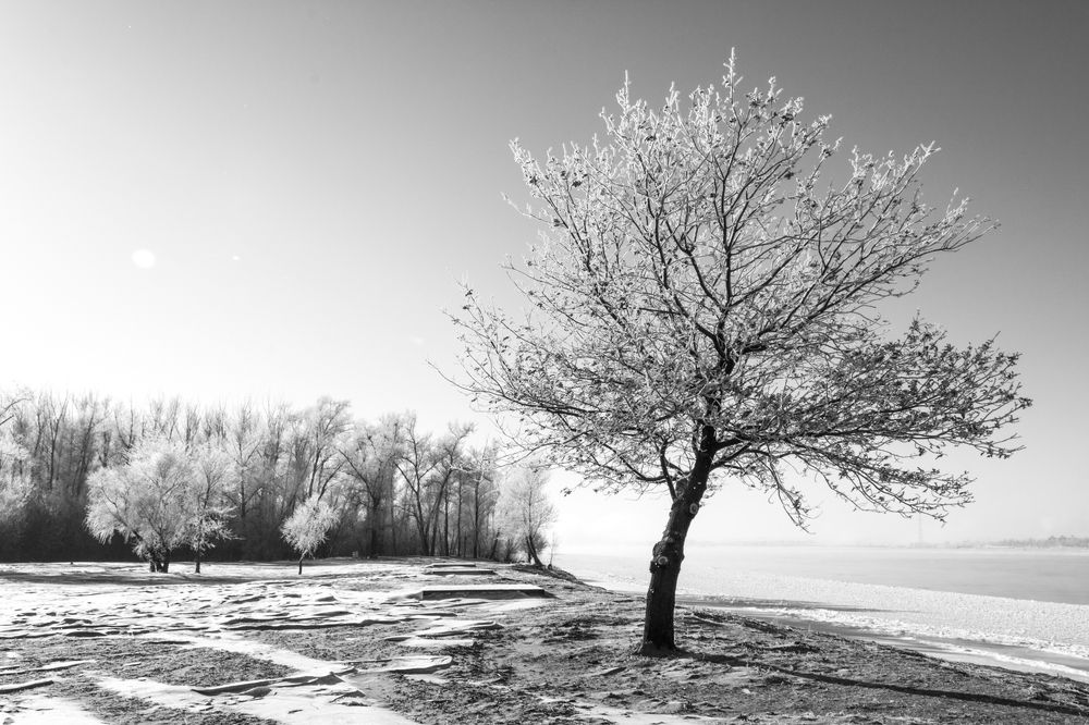 Photograph by Ольга Салтыкова