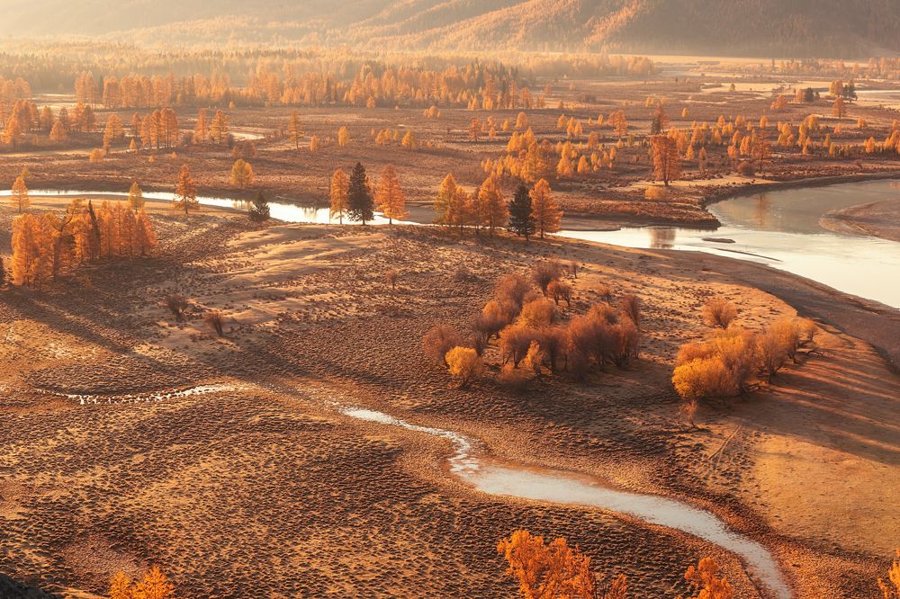 Photograph by Анастасия Калинцева