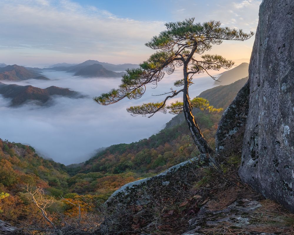 Photograph by Jaeyoun Ryu