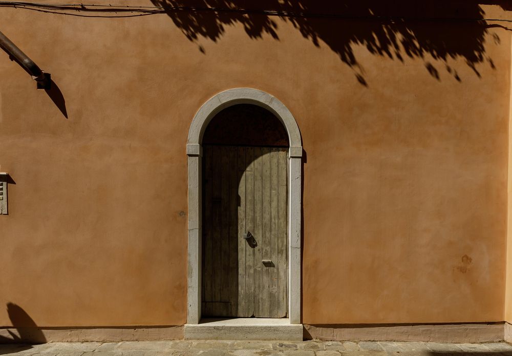 Photograph by Taтьяна Войлокова