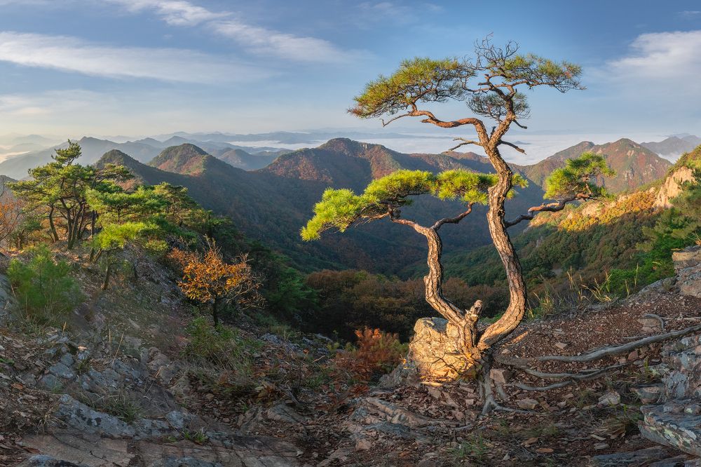 Photograph by Jaeyoun Ryu