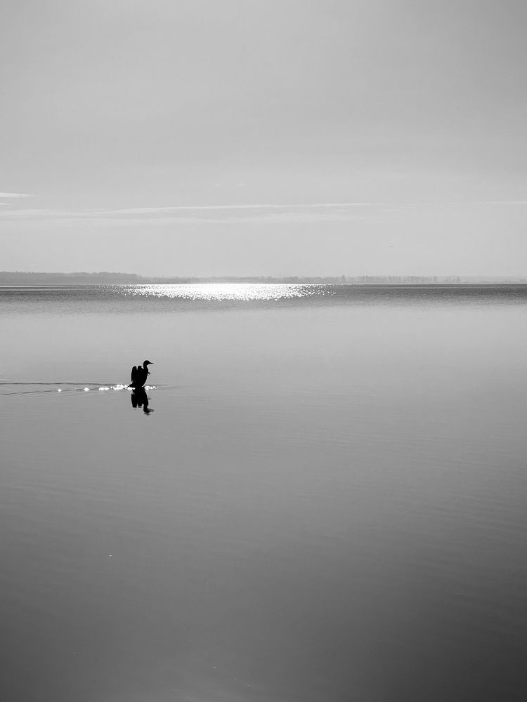 Photograph by Виктория Баева