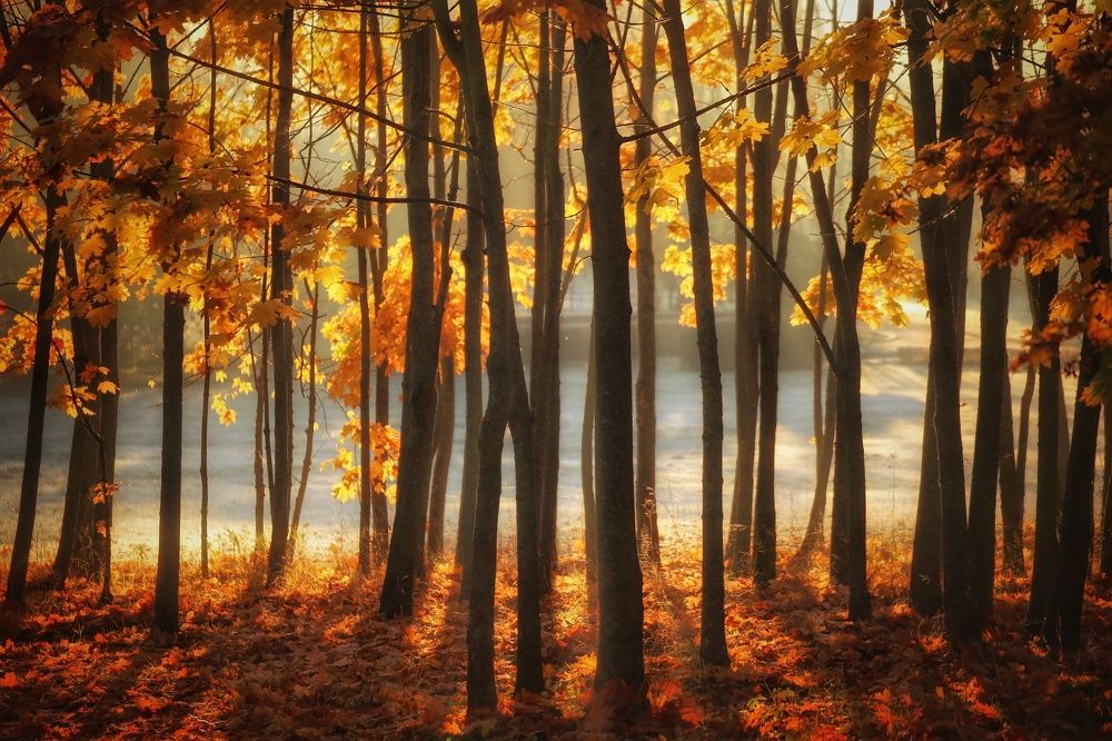 Photograph by Leanid Kulpo