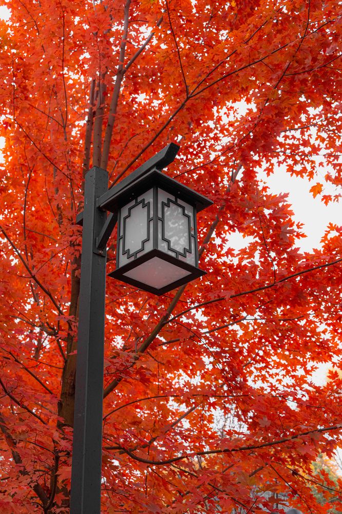 Photograph by Арсений Крят