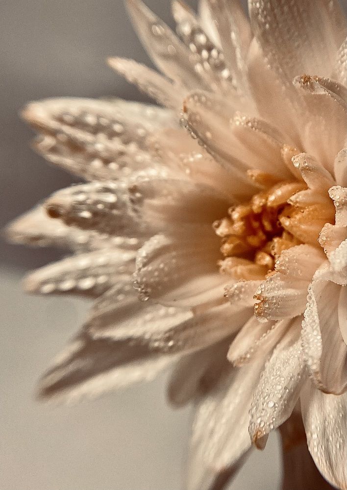 Photograph by Алена Алена