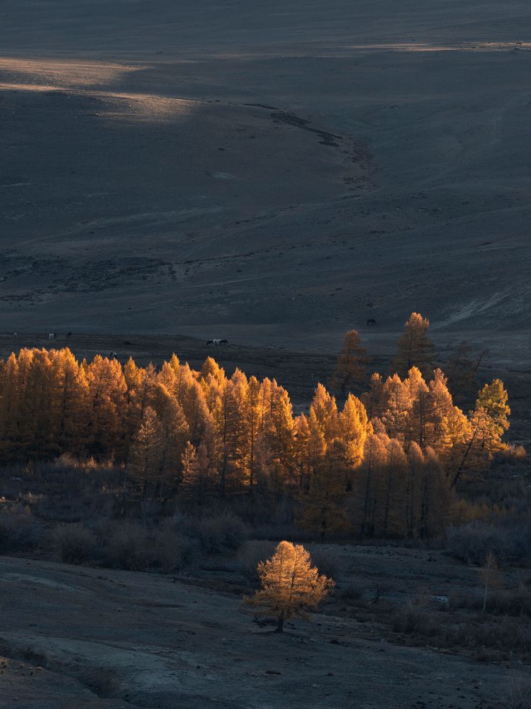 Photograph by Мозжухин Максим