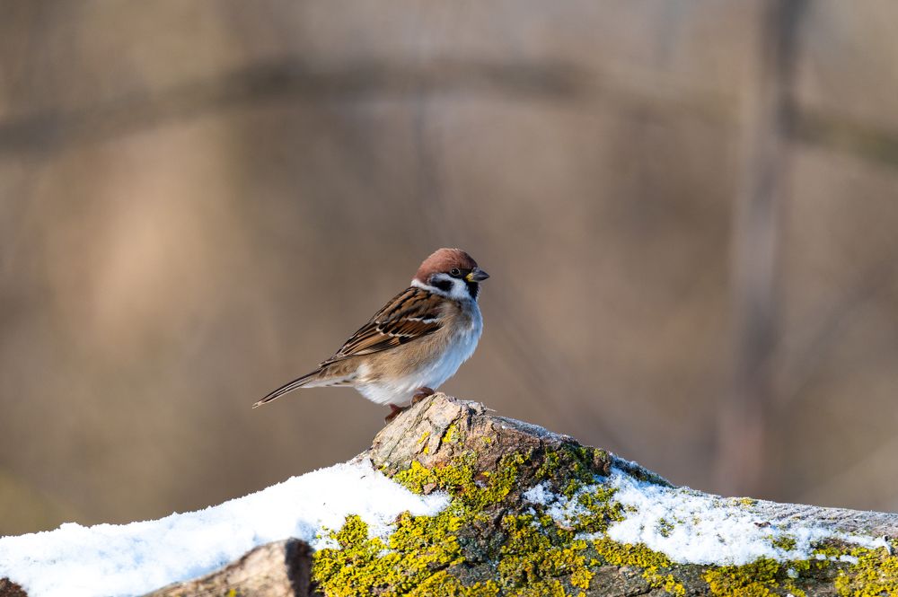 Photograph by Ramzan Davletmirzaev