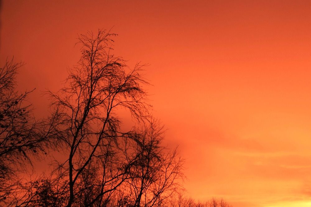Фотография автора Светлана Терехова