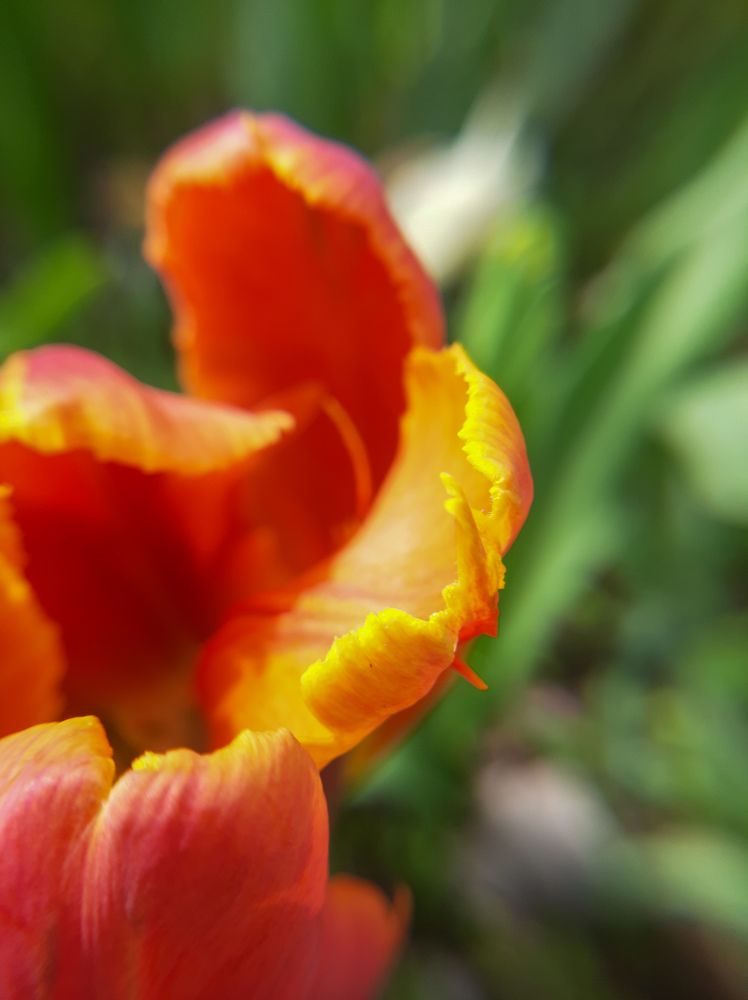 Фотография автора Светлана Дунаева