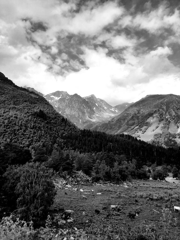 Photograph by Елена Валерьевна