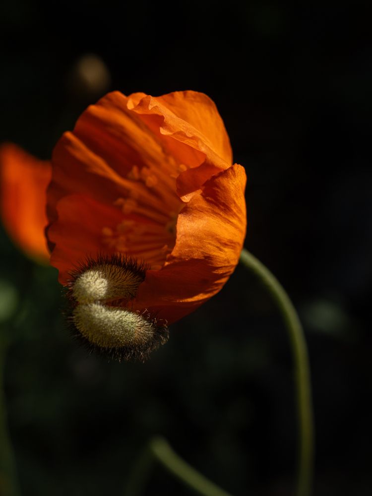 Photograph by Ксения Ершова