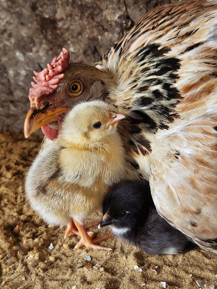 Photograph by Marina Gritchina