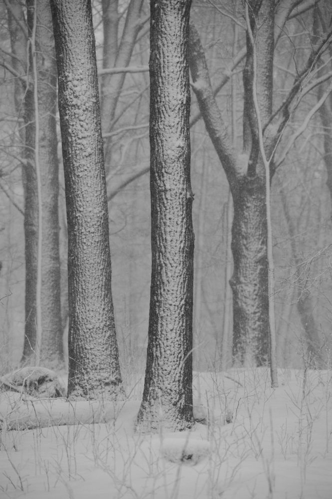 Photograph by Юрий Яковлев