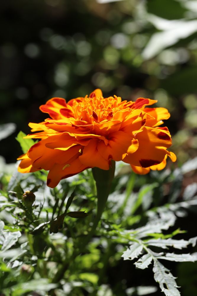 Photograph by Елена Тимченко