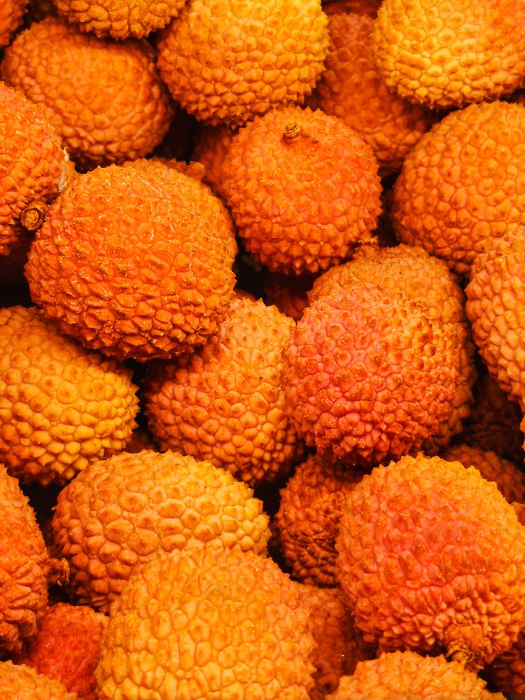 Photograph by Fábio Martins