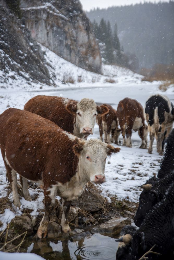 Фотография автора Злобин Сергей