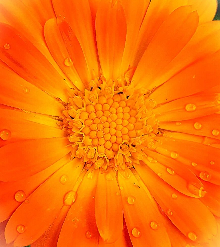 Photograph by Яна Галимуллина