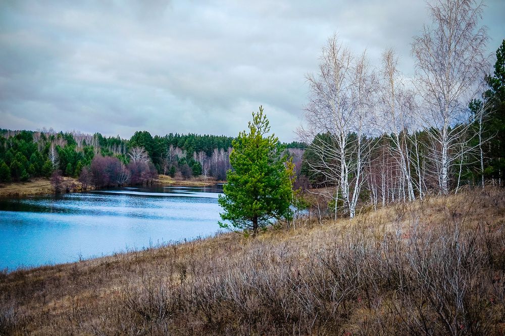 Осенний день