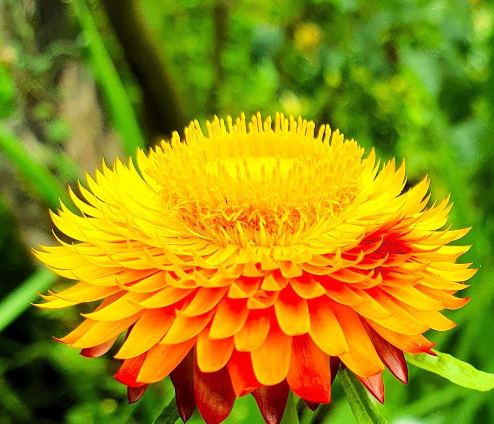 Photograph by Ева Кучугурова