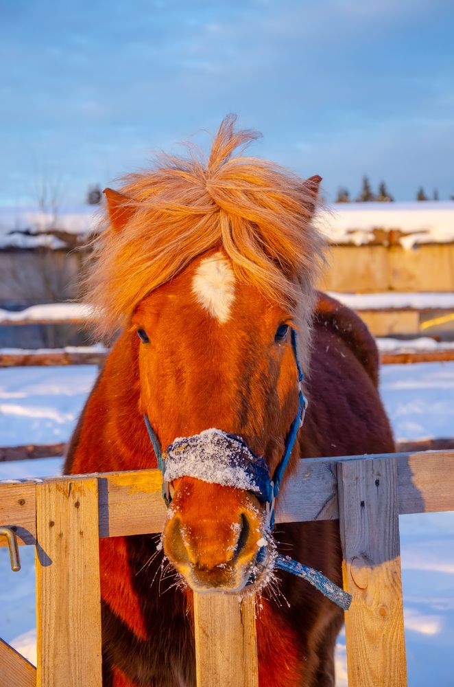 Photograph by Ольга Заповедная