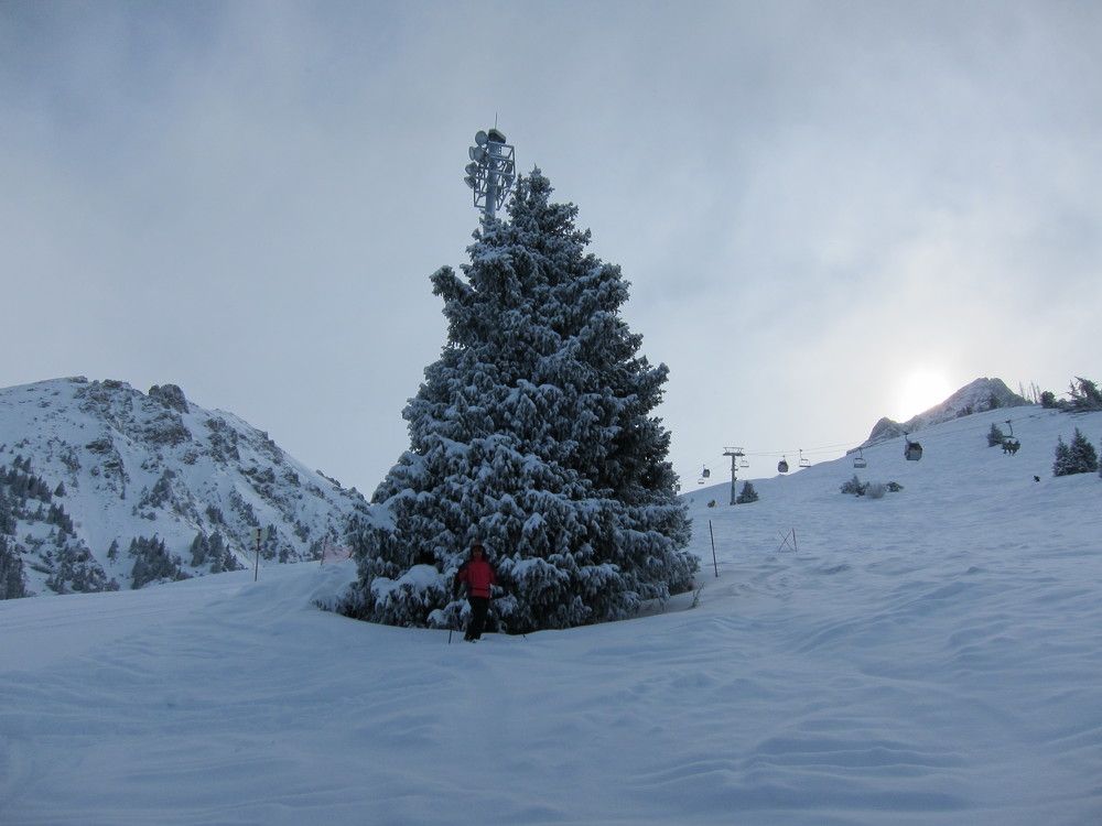 Photo #11522355