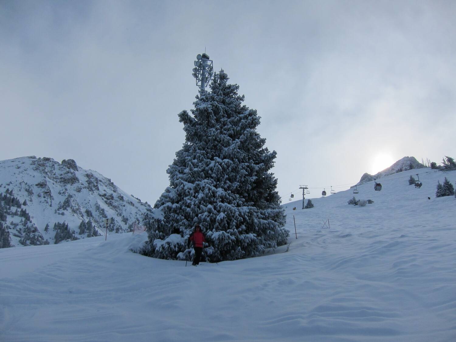 Photo #11522355