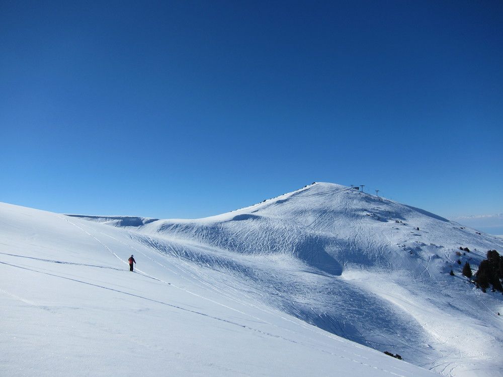 Photo #11522356