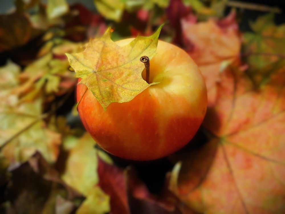 Photograph by Ева Кучугурова