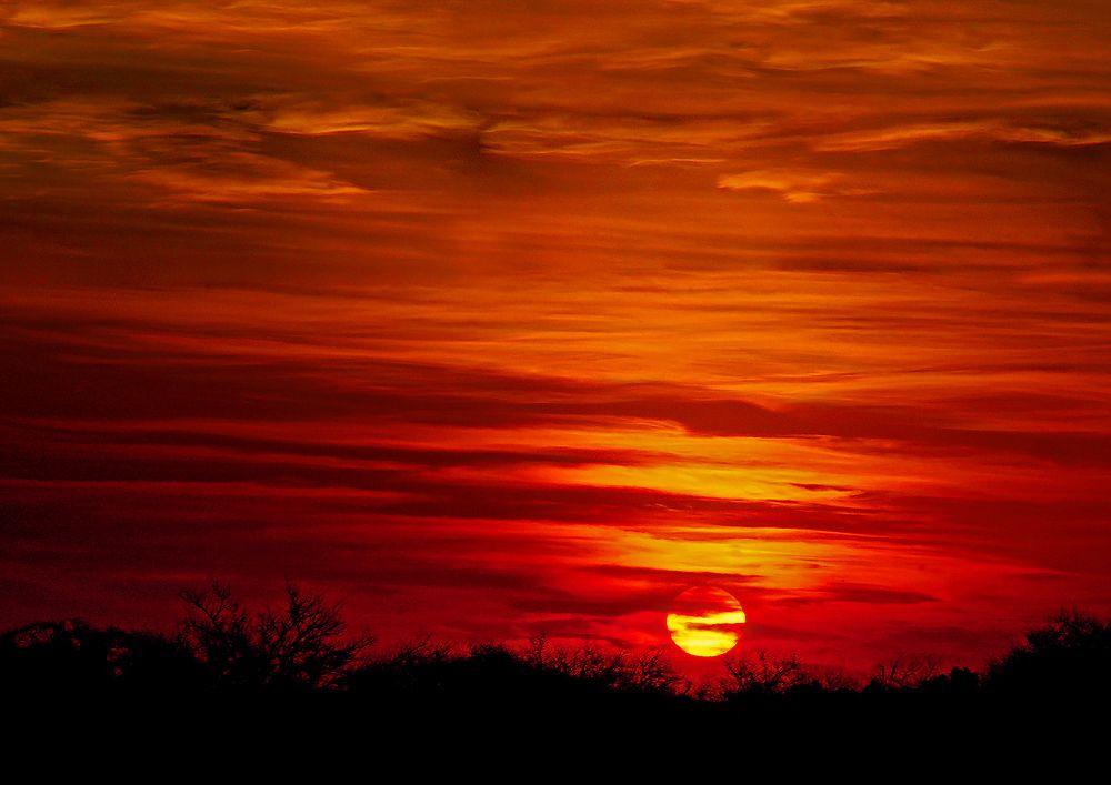 Photograph by Mario Fiorucci